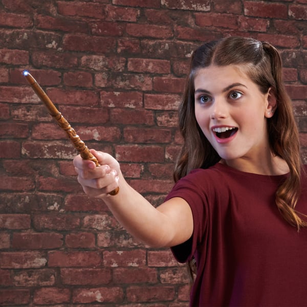 Wizarding World 6064165 rollspel
