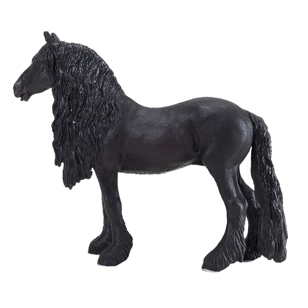 Mojo Fun Friesian Gelding (Portugal)