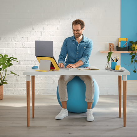 Leitz Ergo Cosy Active balancebold