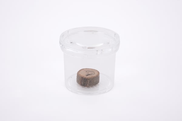 Tickit Clear Bug Viewer
