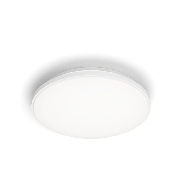 Philips Toiminnollinen Wincel kattovalaisin 24W