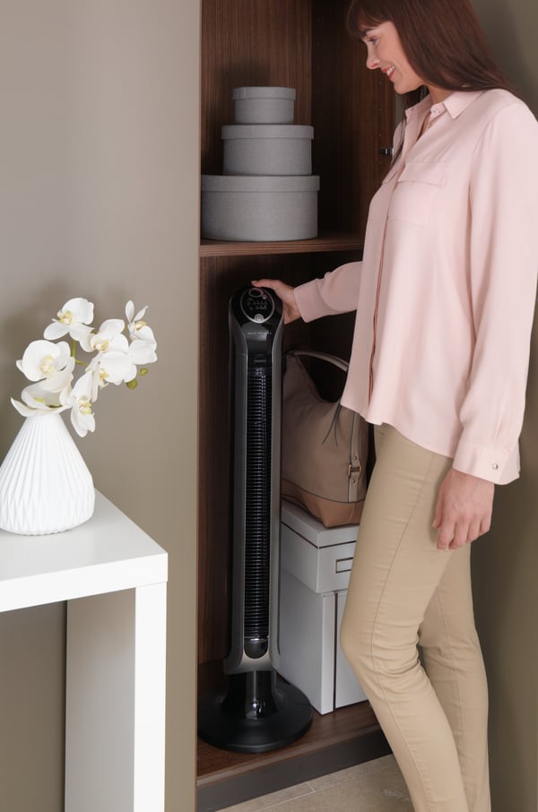 Rowenta Eole VU6620 Svart, Silver