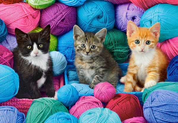 Castorland Kittens in Yarn Store Kuviopalapeli 1000 kpl Eläimet