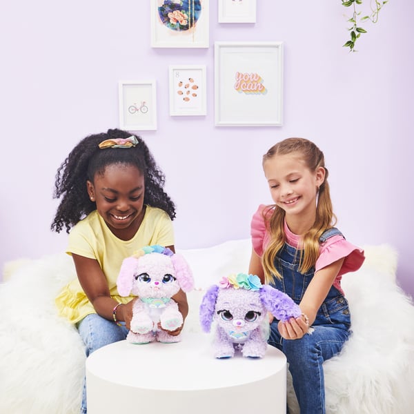 Present Pets GFT PresentPets RainbowFairy BP GML