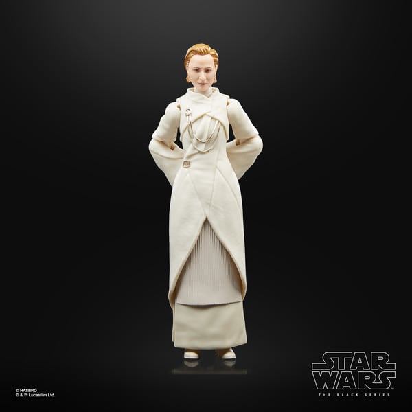 Star Wars The Black Series F55305X0 toy figure