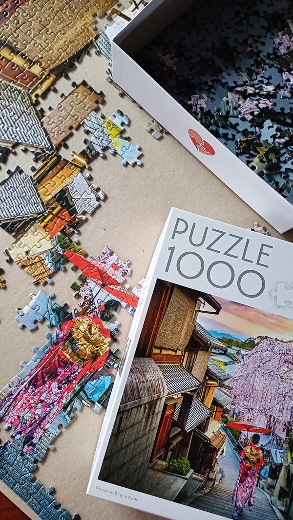 Tactic Puzzle Lovers Woman walking in Kyoto 1000 pcs puzzle