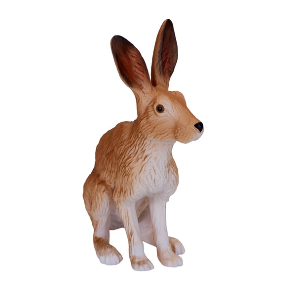 Mojo Fun Hare