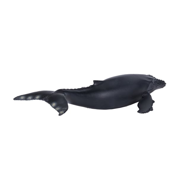 Mojo Fun Humpback Whale