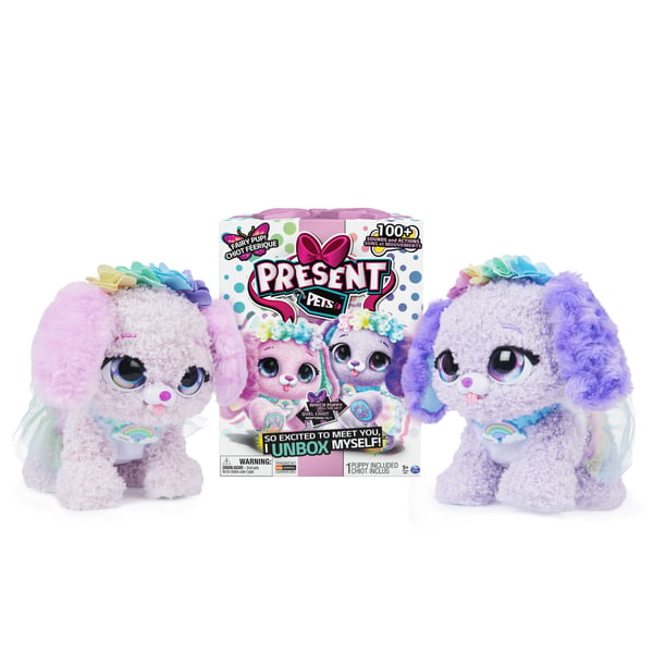 Present Pets GFT PresentPets RainbowFairy BP GML