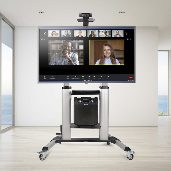 StarTech.com 1110C-MOBILE-TV-CART tv-beslag 2,54 m (100") Sort, Sølv