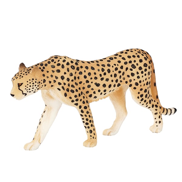 Mojo Fun Cheetah Male