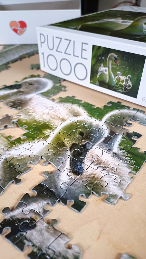 Tactic Puzzle Lovers Swan on Lake with Babies 1000 palan palapeli