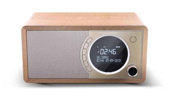 Sharp DR-450 Personligt Digital Brun, Rustfrit stål