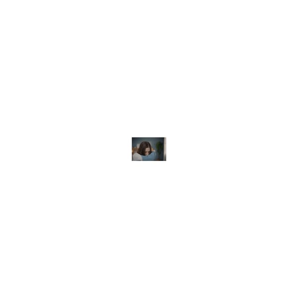 Electrolux EFWBTH3 Luftrenarfilter
