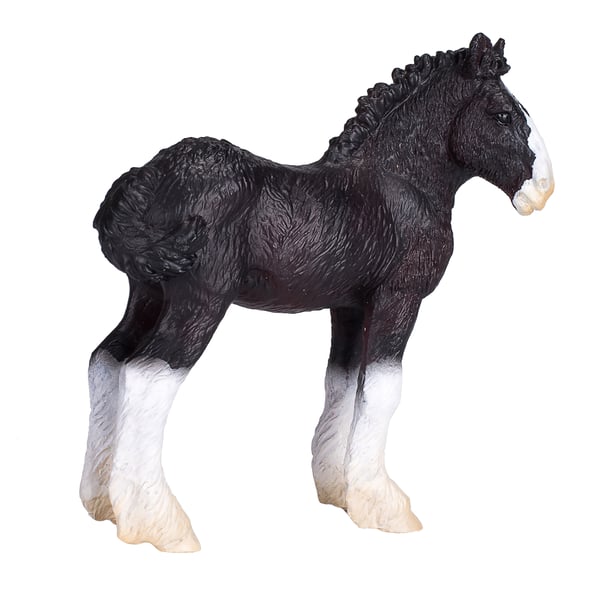 Mojo Fun Shire Foal