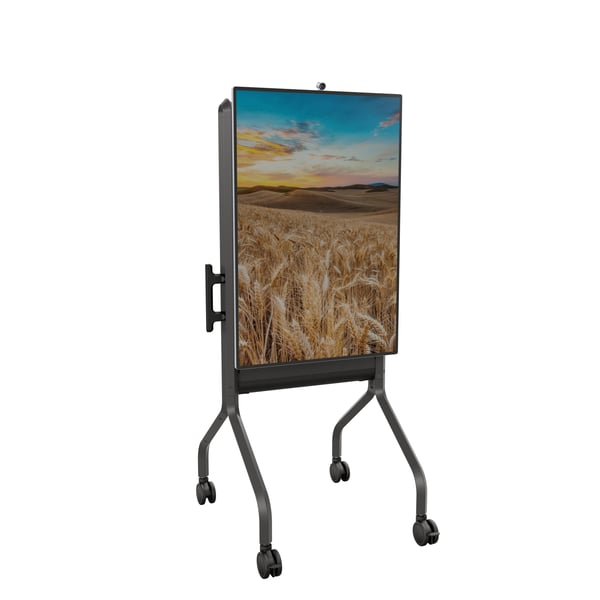 Chief LSCUB multimedie vogn & stand Sort Multimedie trolley