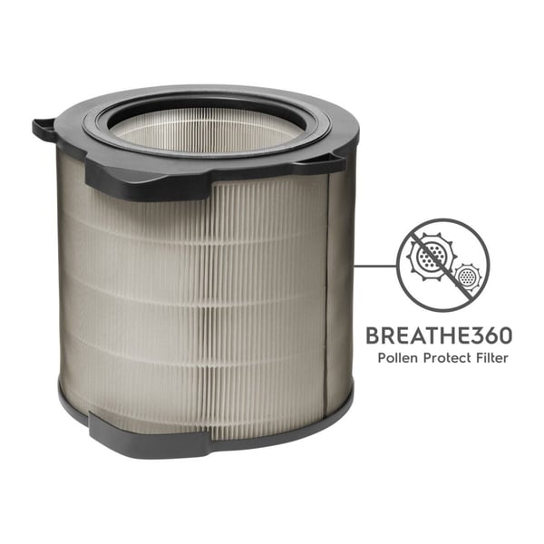 Electrolux EFDBTH4 Luftrenarfilter
