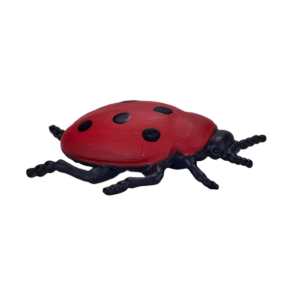 Mojo Fun Insects and Spider set 12pcs