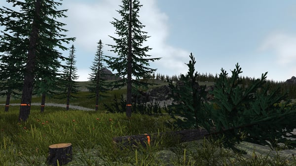 BANDAI NAMCO Entertainment Professional Lumberjack 2016 : Bûcheron Simulator Vakio PlayStation 4