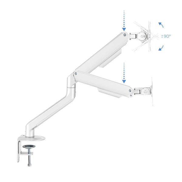TooQ DB4032TNR-W skærmbeslag og -stativer 81,3 cm (32") Skrivebord Hvid
