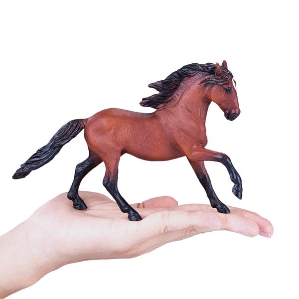 Mojo Fun Lusitano