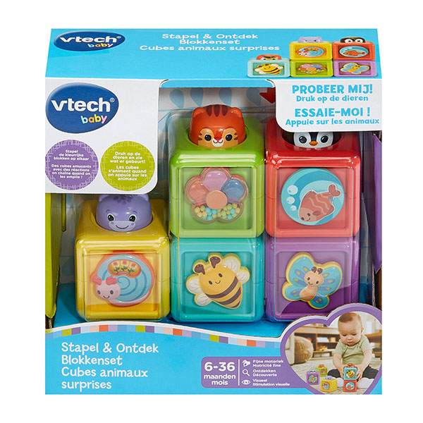 VTech Baby Stapel & Ontdek Blokkenset