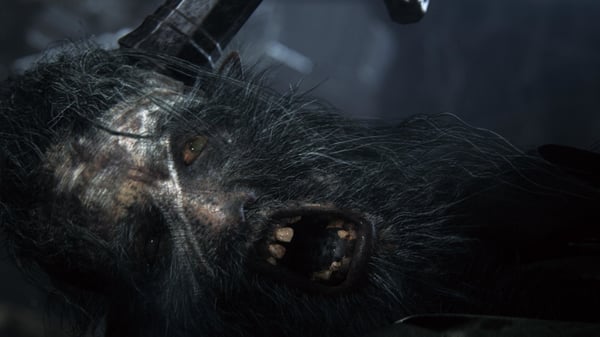Sony Interactive Entertainment Bloodborne - Game of The Year Edition PlayStation 4