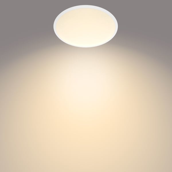 Philips Funktionel Canaval loftslampe, 12 W