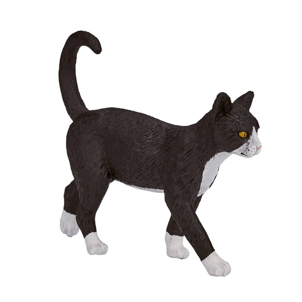 Mojo Fun Cat