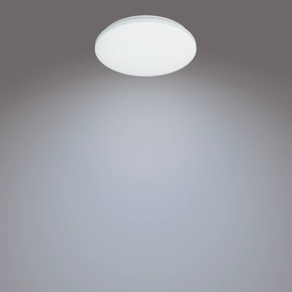 Philips Funktionel Izso loftslampe, 24 W