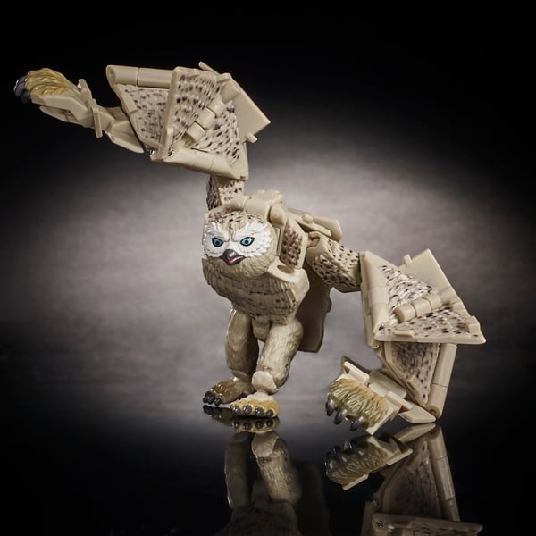 Dungeons & Dragons Owlbear