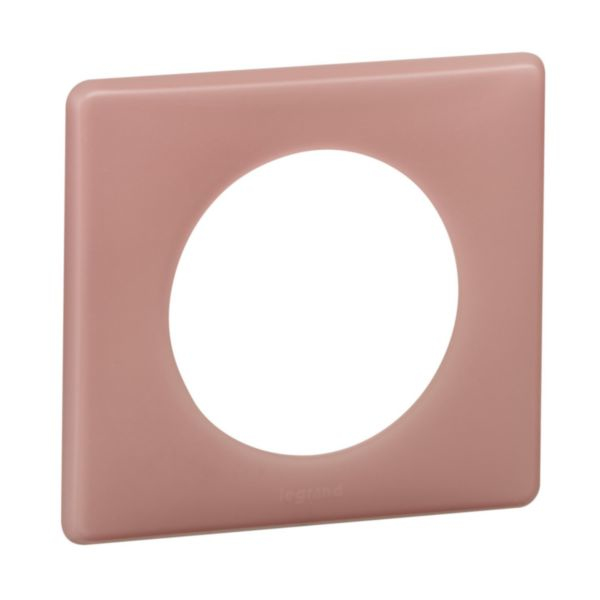 Legrand 066761 kontaktplade & kontakthætte