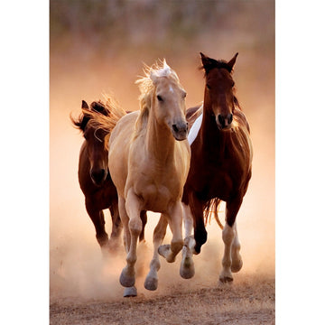 Clementoni Running Horses Puslespil 1000 stk Dyr