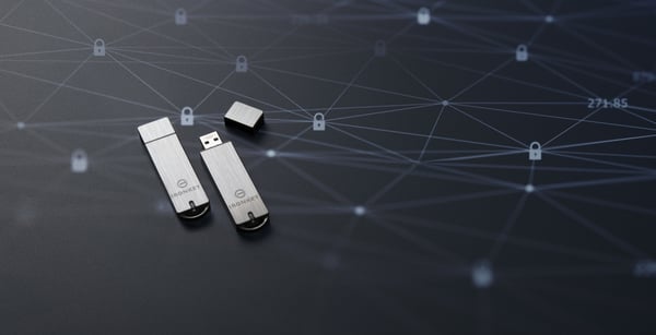 Kingston Technology IronKey 32 GB Basic S1000 krypteret USB 3.0 FIPS 140-2, niveau 3