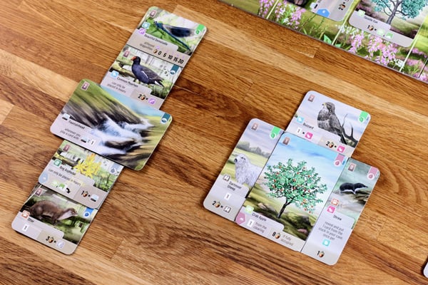 Asmodee Forest Shuffle Dartmoor Forest Shuffle Dartmoor Kortspil
