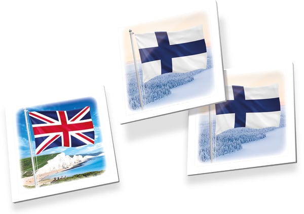 Tactic Memo Flags