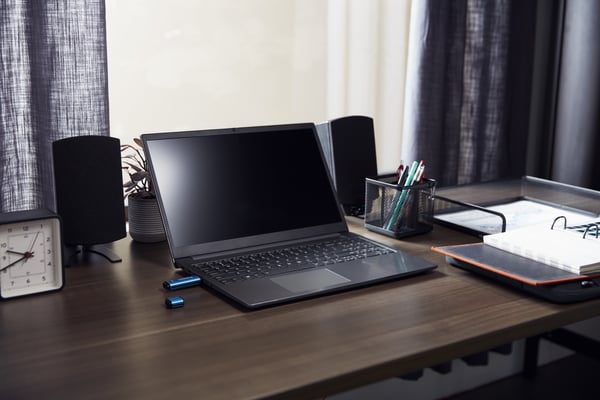 Kingston Technology IronKey 256 Gt USB-C Vault Privacy 50C AES-256-salaus, FIPS 197