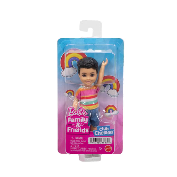 Barbie Chelsea Family & Friends Doll