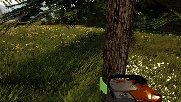 BANDAI NAMCO Entertainment Professional Lumberjack 2016 : Bûcheron Simulator Vakio PlayStation 4
