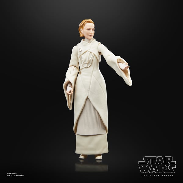 Star Wars The Black Series F55305X0 toy figure