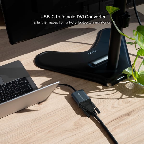 Nanocable 10.16.4103-G videokabel adapter 0,15 m USB Type-C DVI-D Grå