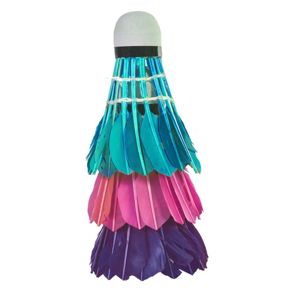 SportX 2004250 badminton ketsjer Gåsefjer Flerfarvet