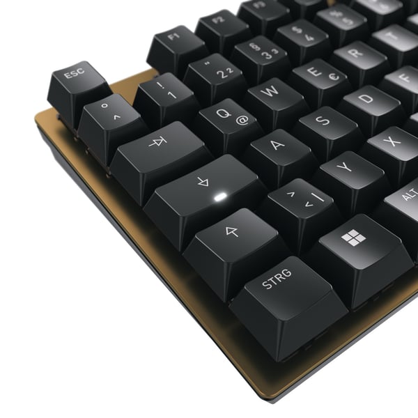 CHERRY KC 200 MX tangentbord Universal USB QWERTZ tyska Svart, brons