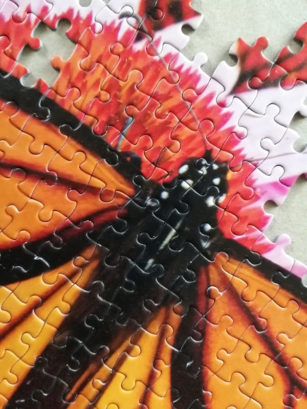 Tactic Monarch Butterfly 1000 pcs Kuviopalapeli 1000 kpl Eläimet