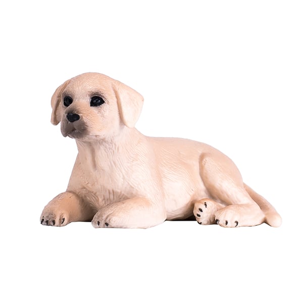 Mojo Fun Labrador Puppy
