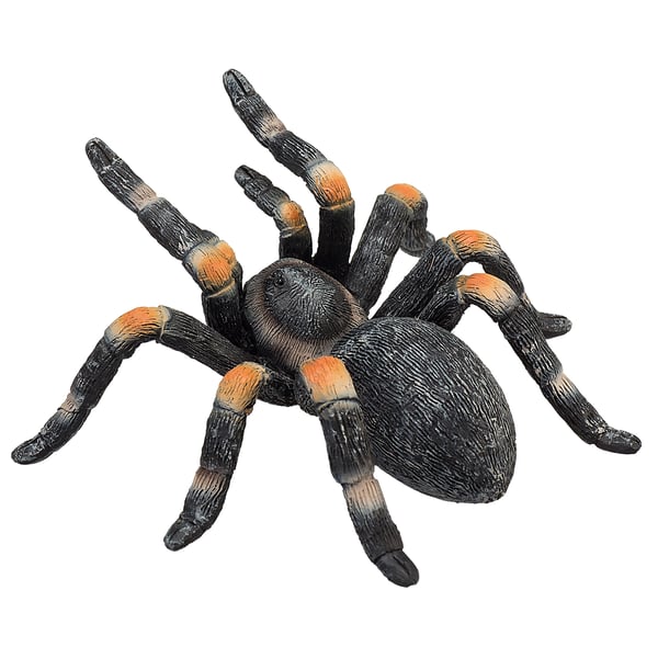 Mojo Fun Red Kneed Tarantula