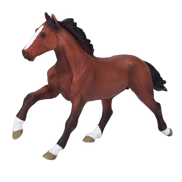 Mojo Fun Thoroughbred (Portugal)