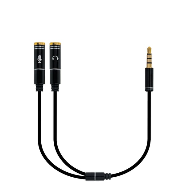 Ewent EC1641 audiokaapeli 0,3 m 3.5mm 2 x 3.5mm Musta