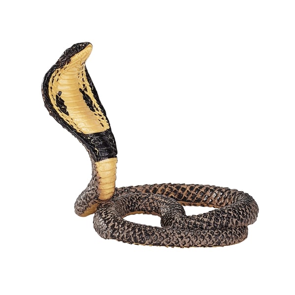 Mojo Fun King Cobra