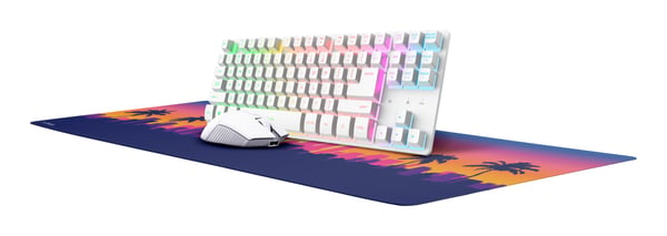 Trust GXT 882 tangentbord Mus inkluderad Hem / Kontor Trådlös RF + USB AZERTY Fransk Vit